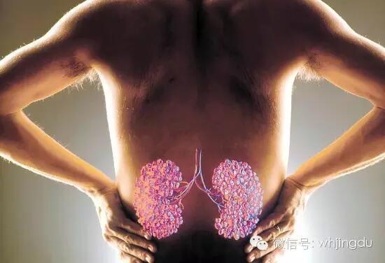 重庆新桥医院治疗肾结石